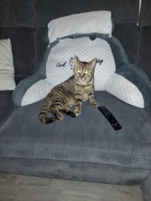 Nora nun Coco & Amalia nun Lucy