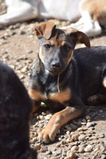 Ilda