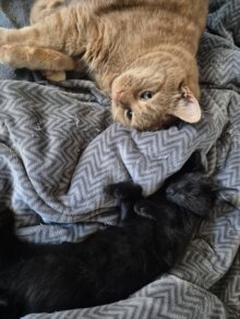 Carl und Elli