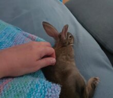 🥕Möhrchen