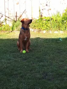 Nasso nun Max