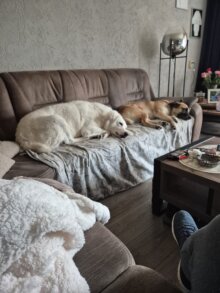 Bianco & Remus