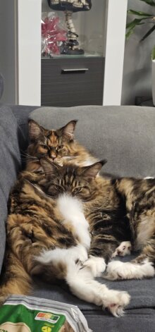 Roxane&Kathe
