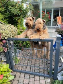 Yago und Yason
