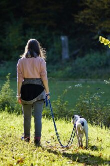 🐾 Wichtige Änderung bei unseren Gassirunden: Gemeinsam sicher in die Zukunft! 🐾